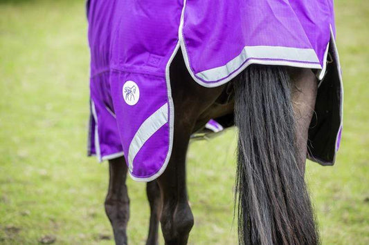 50g Detachable Neck Turnout Rug - Purple