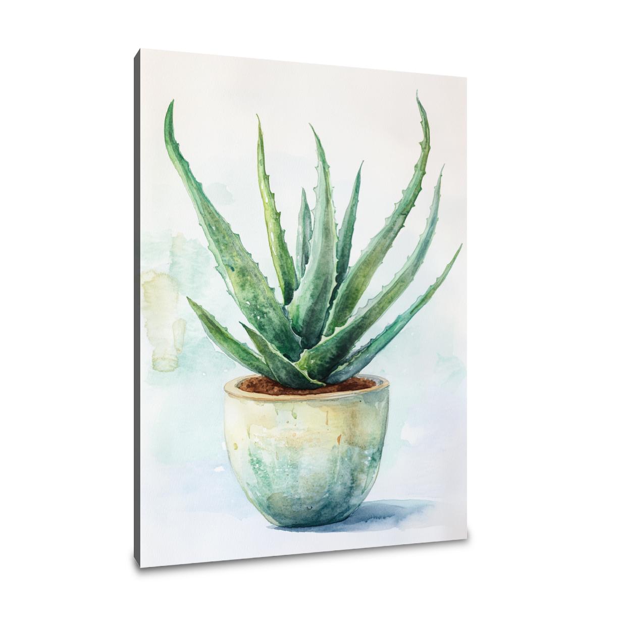 Healing Aloe Vera Canvas