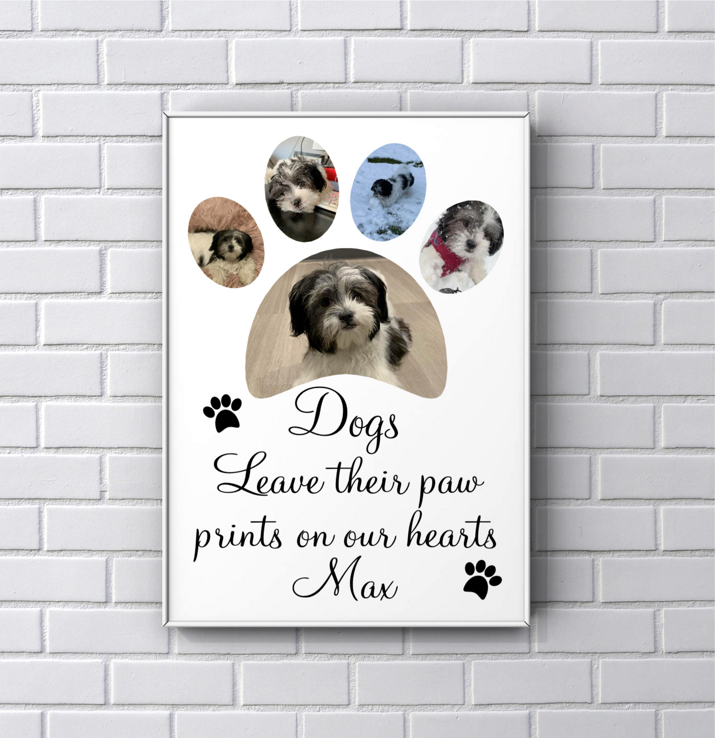 Pet print 'dogs leave their paw prints on our hearts’
