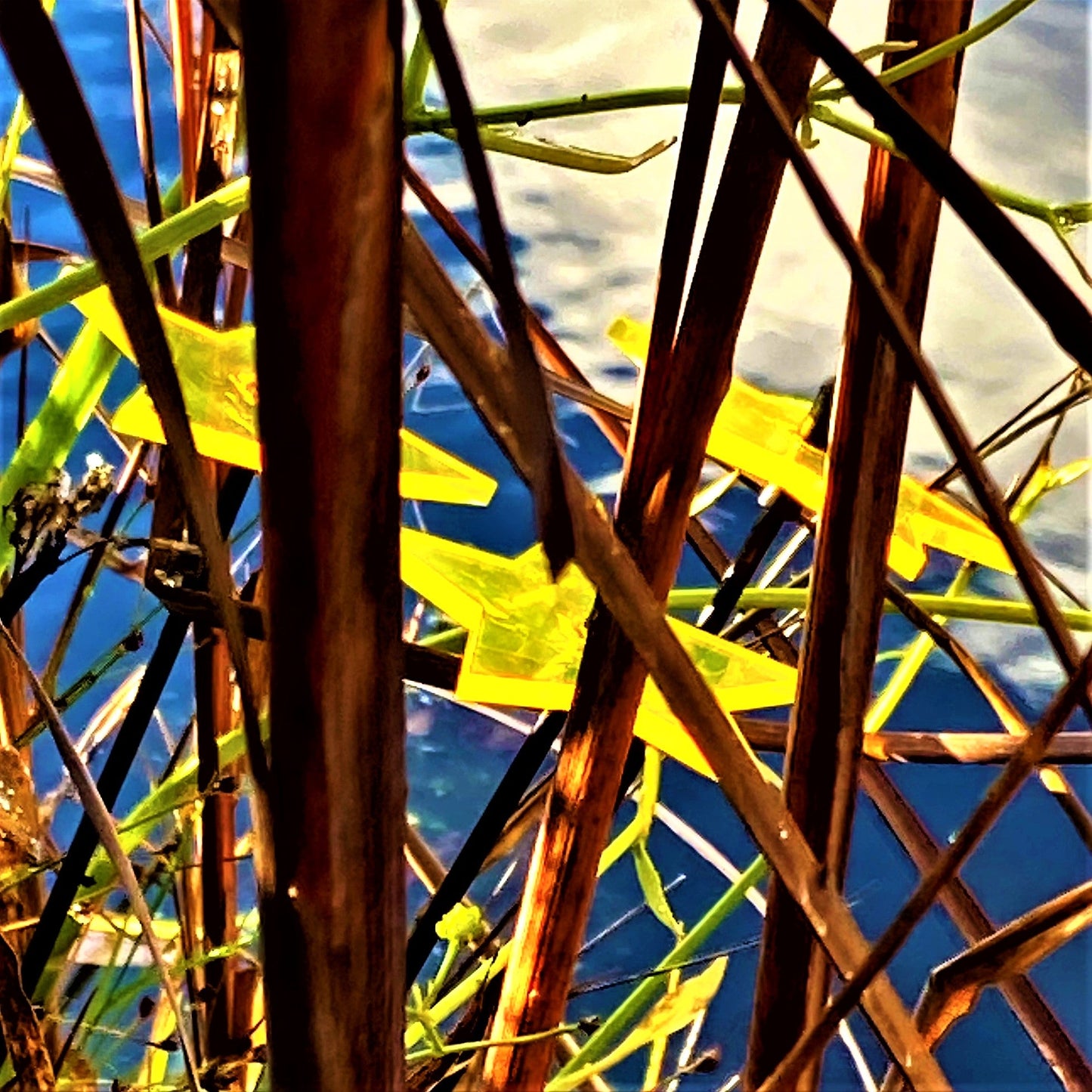 Small Garden Décor Ornaments Set of 3 Shining Stars