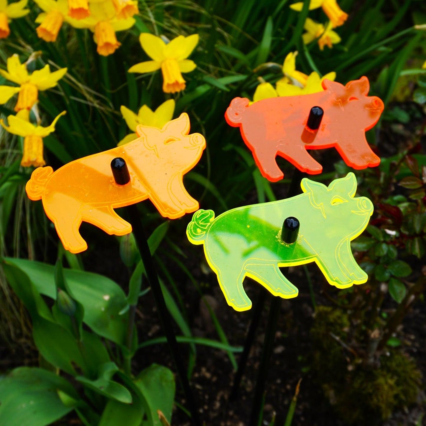 Set of 3 Glowing Medium Pigs SunCatcher Garden Decor Stakes