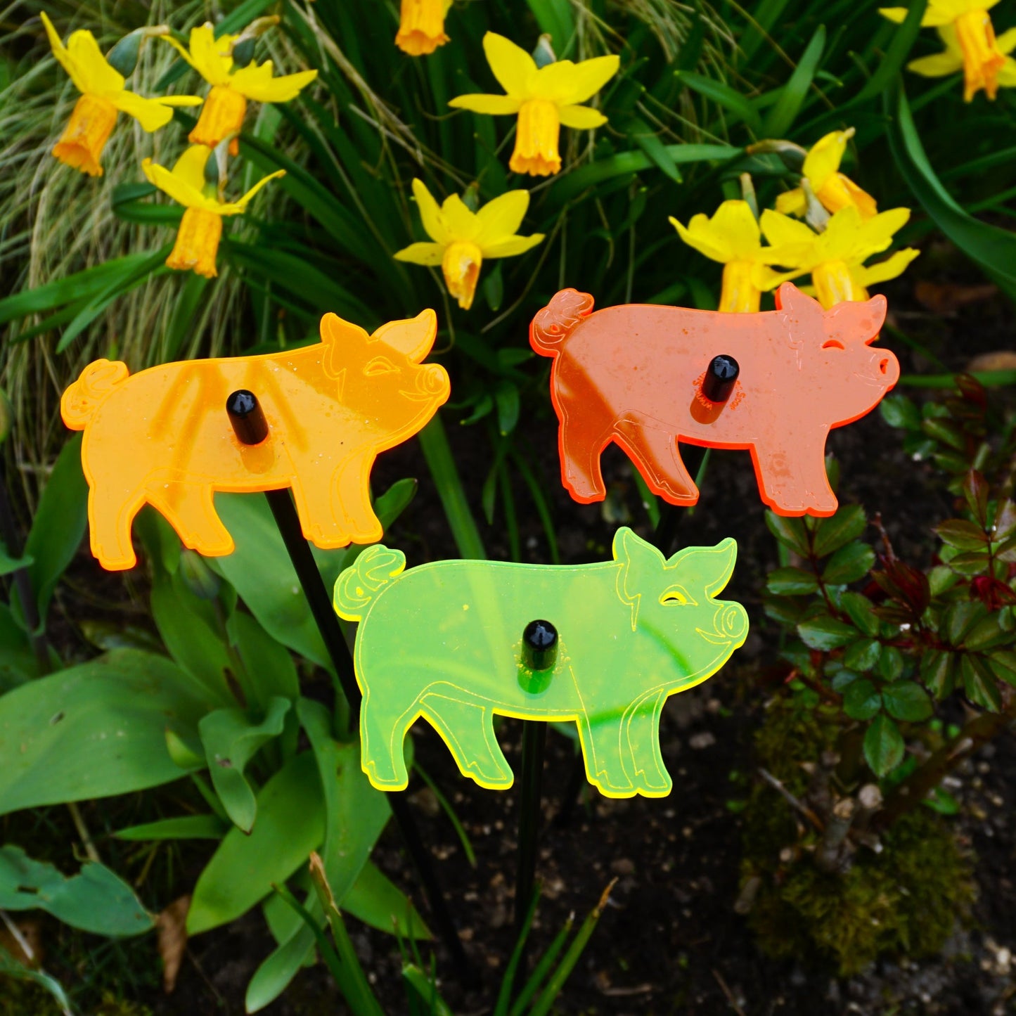 Set of 3 Glowing Medium Pigs SunCatcher Garden Decor Stakes