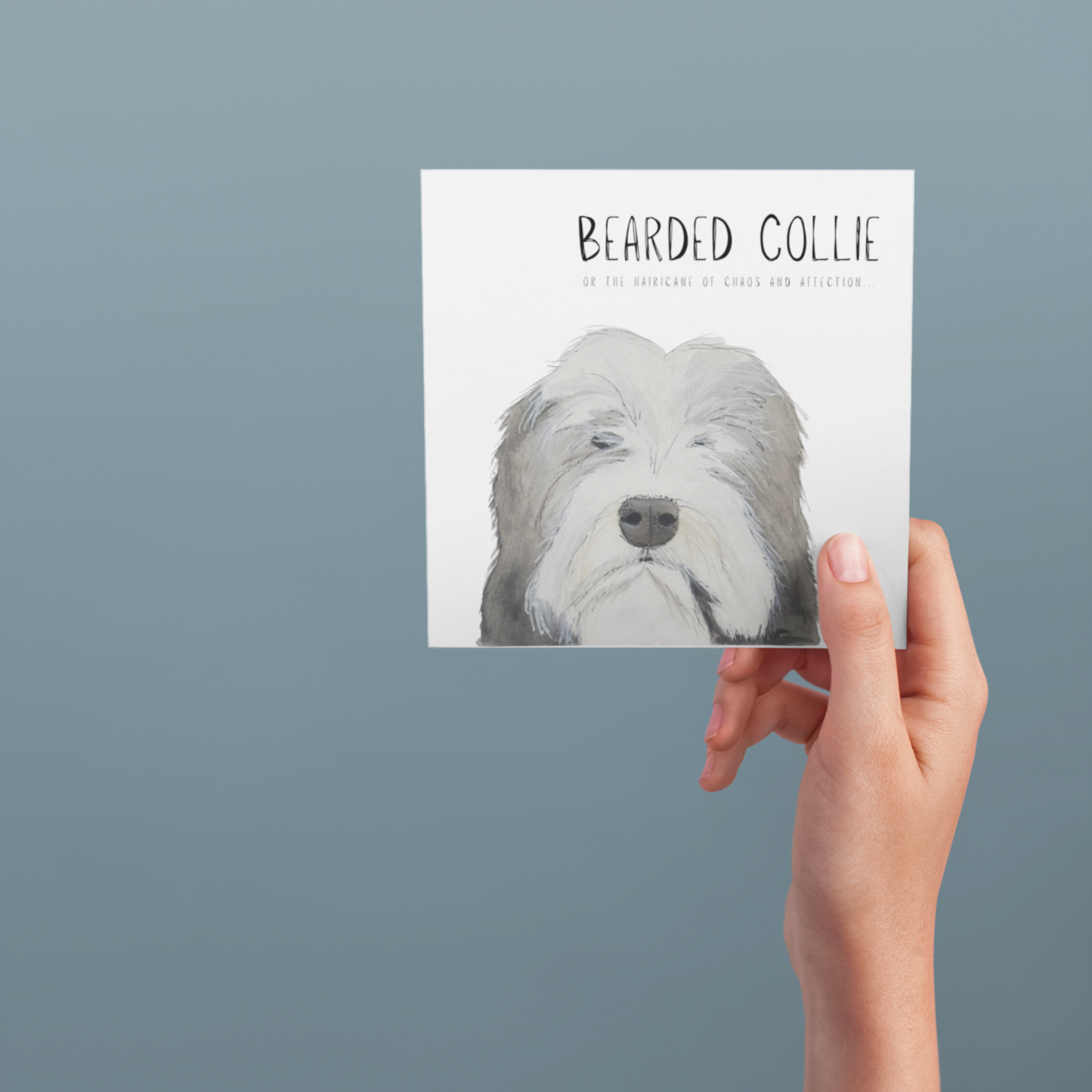 Hairy Wishes & Tailspins: Bearded Collie Greeting Card