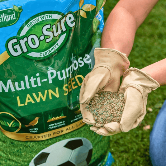 Complete Lawn Care Kit