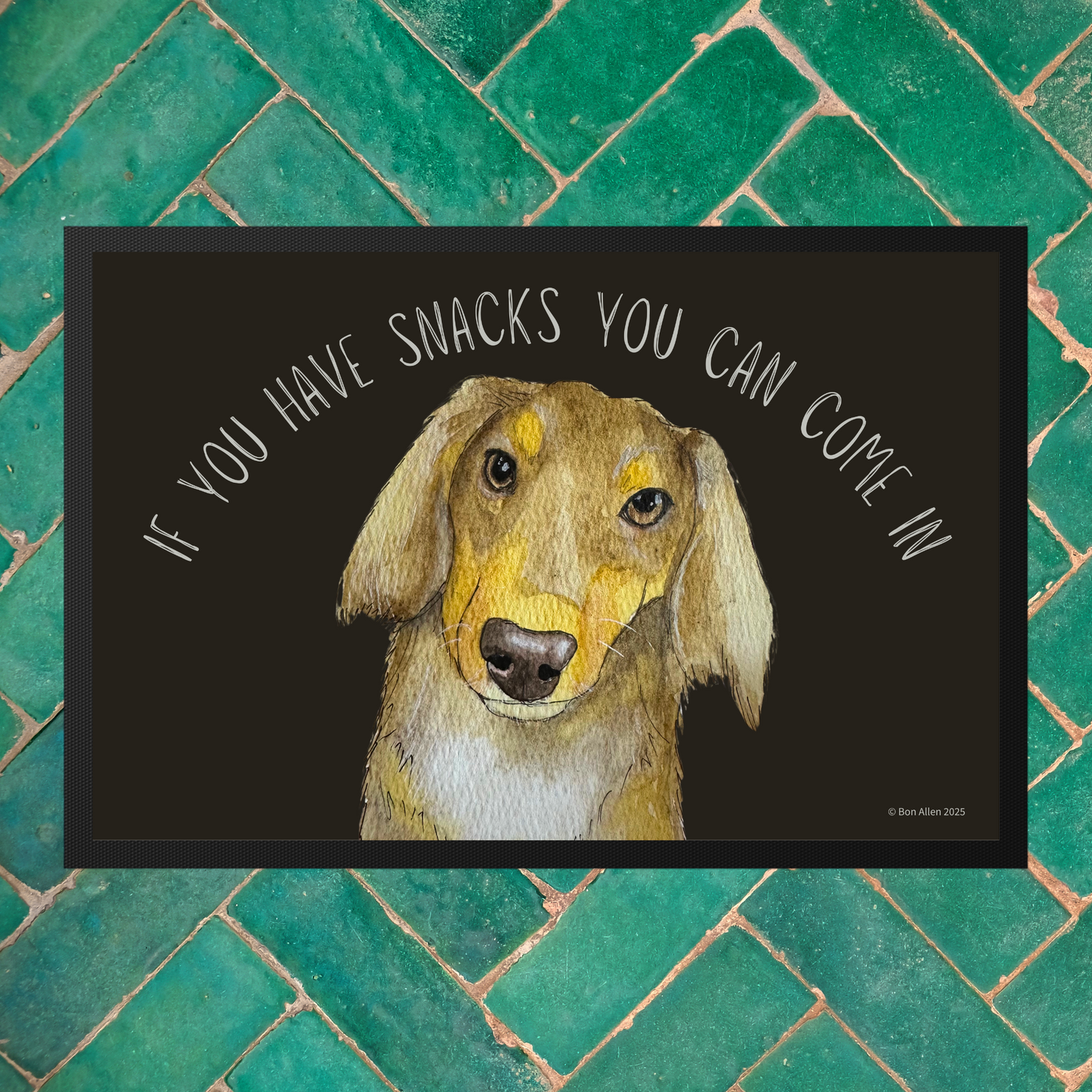 Snacks-Only VIP Access: The Long Haired Dachshund Doormat!