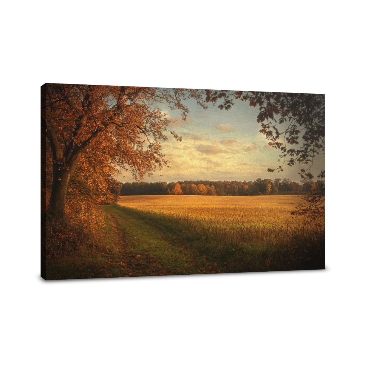 Golden Autumn Dusk Canvas