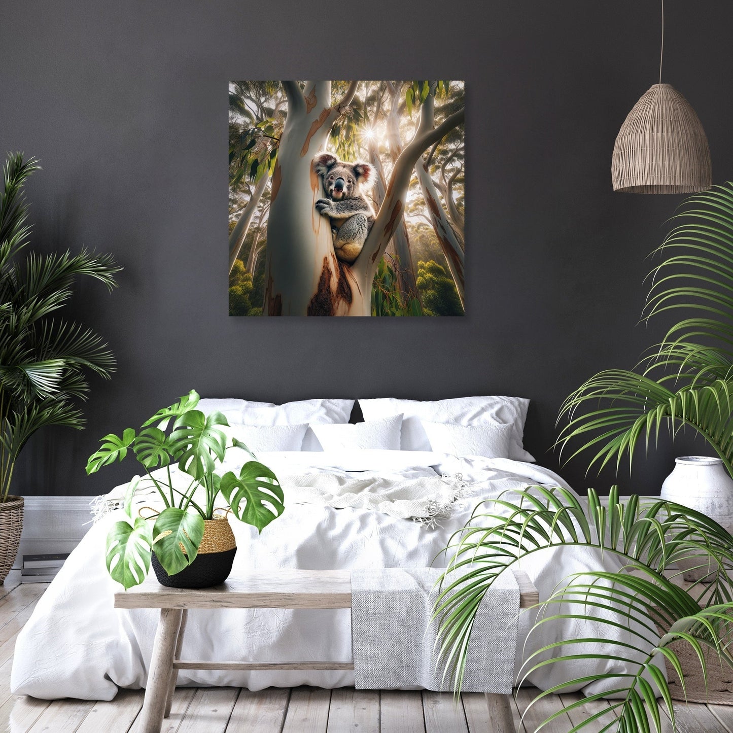 Koala Tranquility Canvas