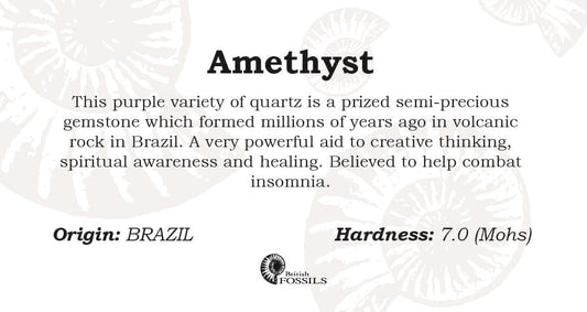 Amethyst Tumbled Semi-Precious Gemstone with Info Card