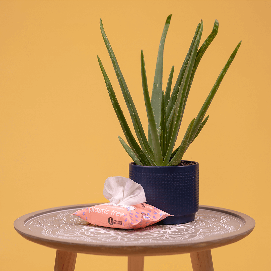 🌱 Compostable Pet Wipes 🐶🐾