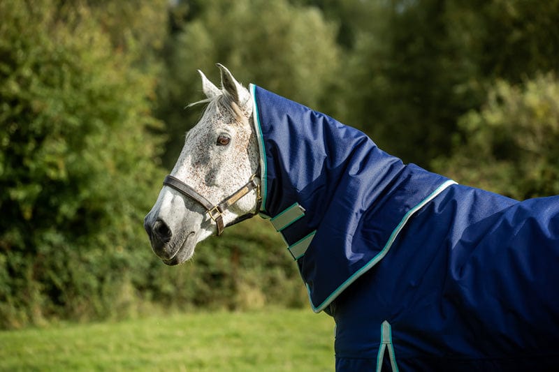 50g Detachable Neck Turnout Rug - Navy