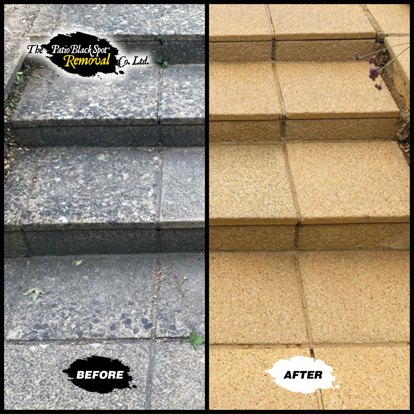 Patio Black Spot Remover For Artificial Stone