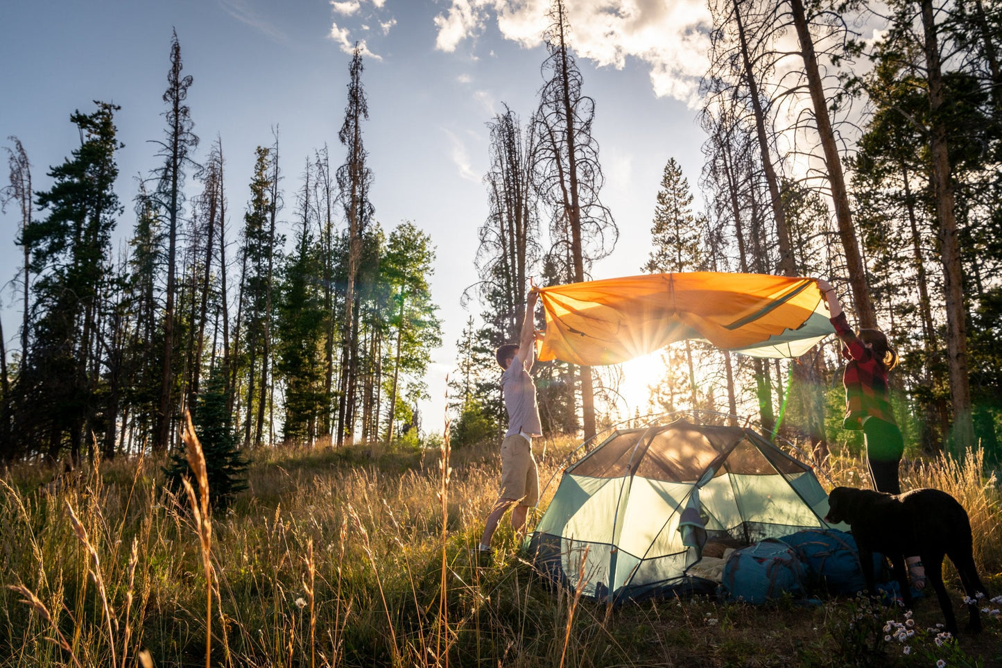 Kelty Wireless 4 Person Tent