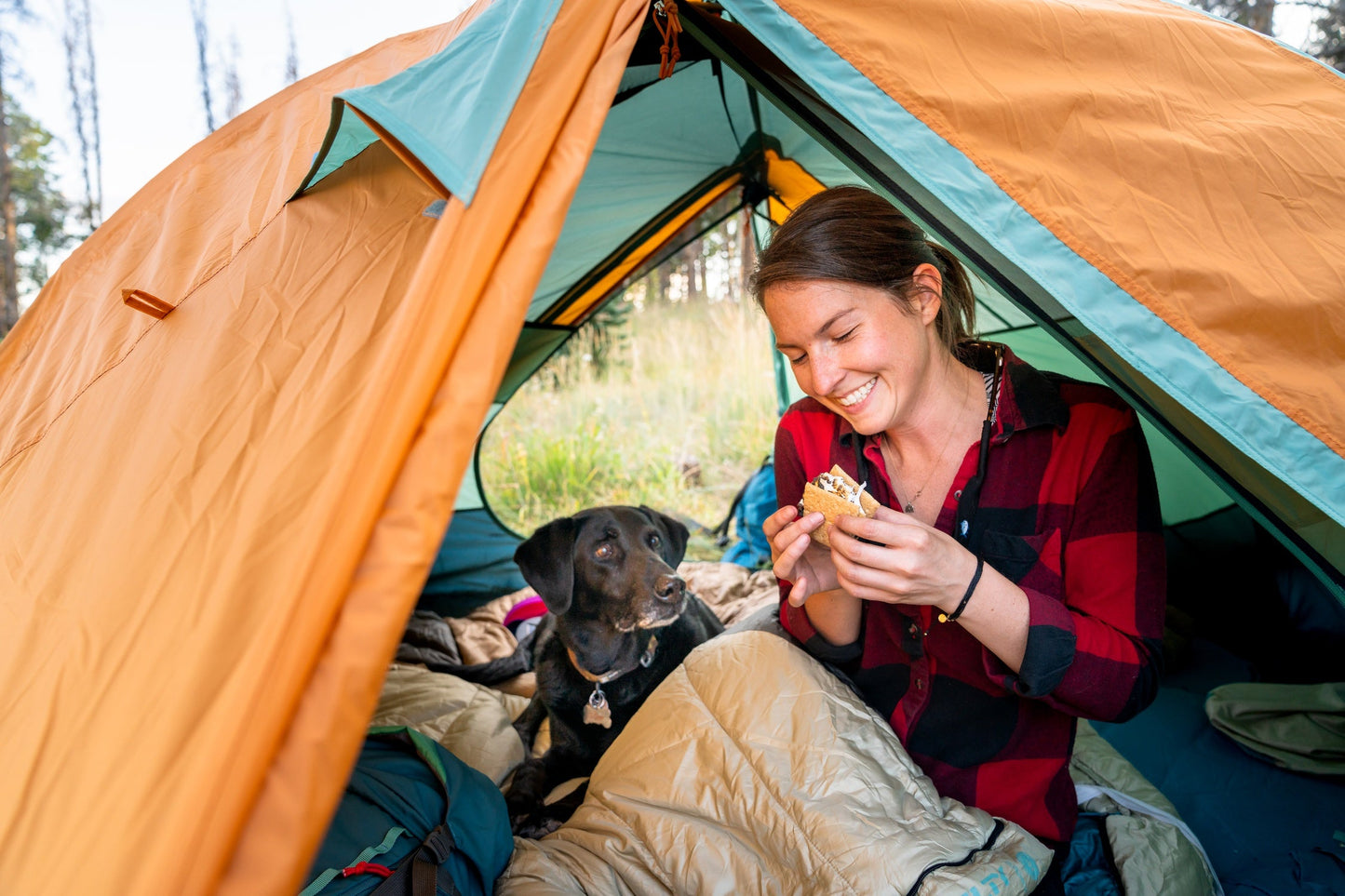 Kelty Wireless 4 Person Tent