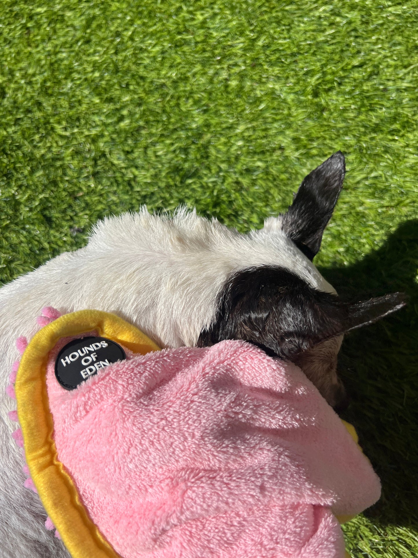 Mini Dog Towel + Clip, Dusty Pink & Green