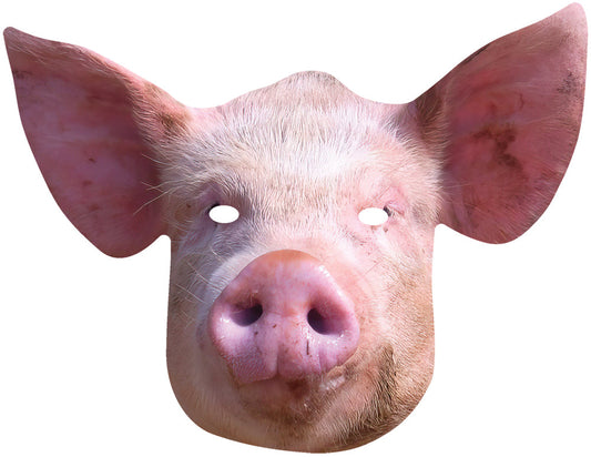 SM443 Pig Mask Animals Single Face Mask