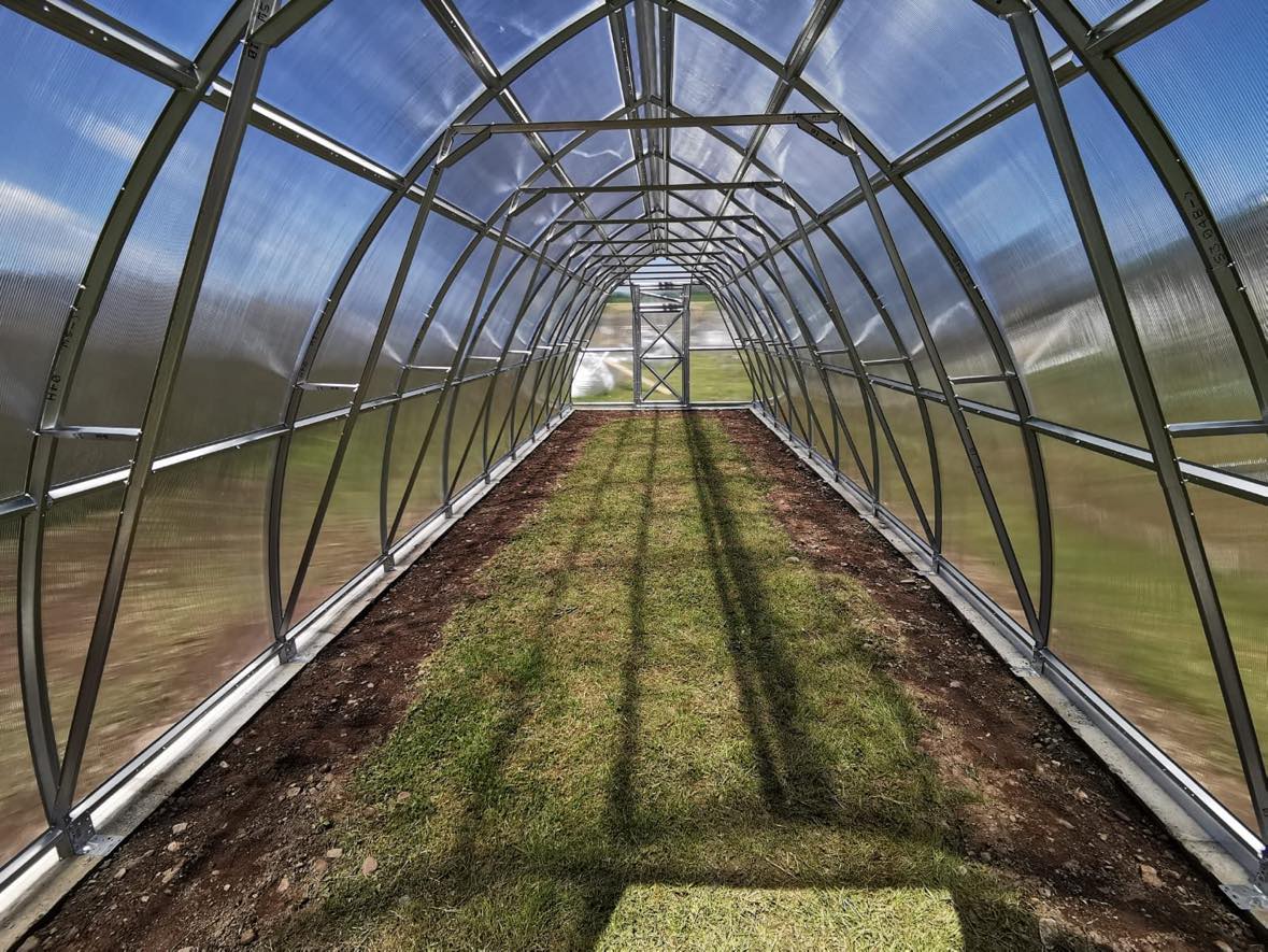 GREENHOUSE SUNGROW, 36M² (3M X 12M; 9.8FT X 39.4FT)