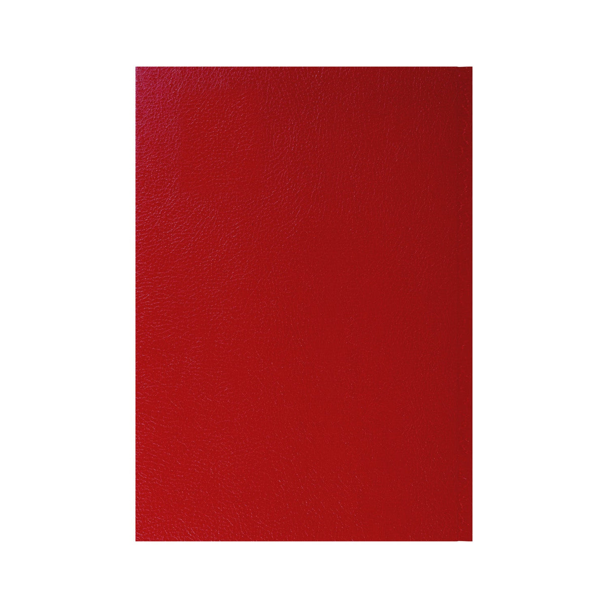 2026-2027 - Mid Year Planner - 13 Month A4 Day-to-Page Diary with Appointments - Collins Debden Desk Diary