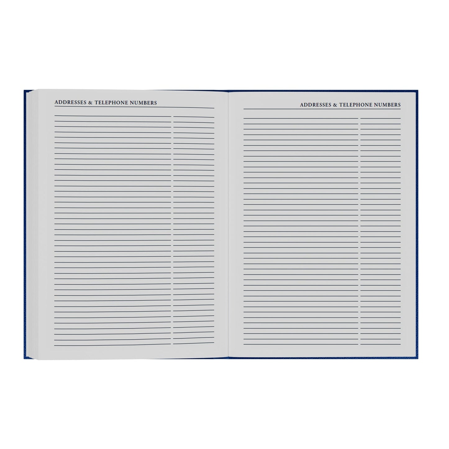 2026-2027 - Mid Year Planner - 13 Month A4 Day-to-Page Diary with Appointments - Collins Debden Desk Diary