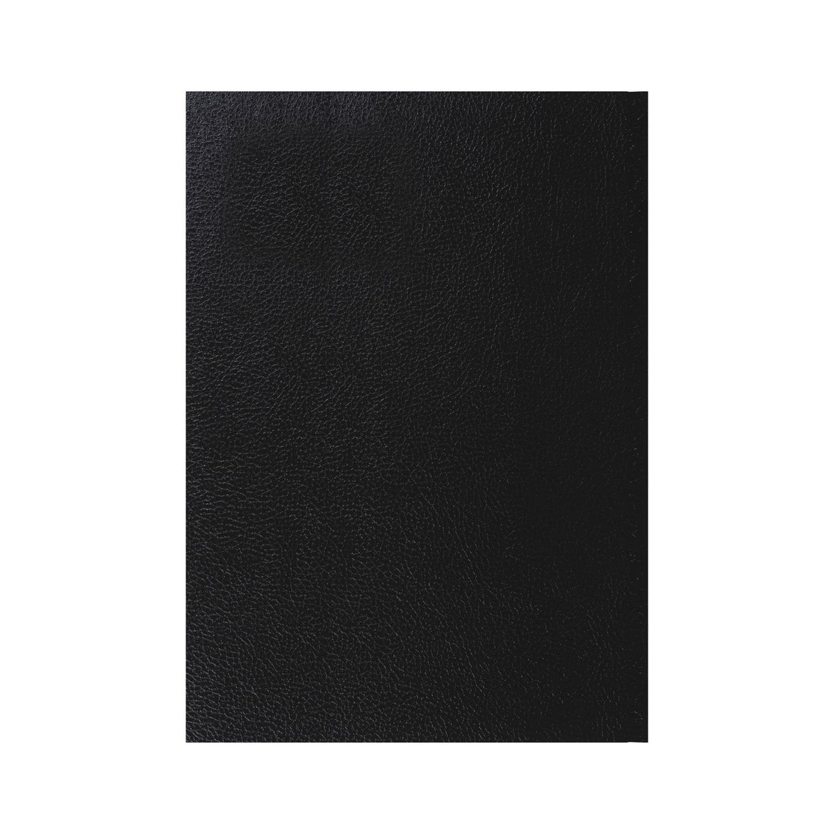 2026-2027 - Mid Year Planner - 13 Month A4 Day-to-Page Diary with Appointments - Collins Debden Desk Diary