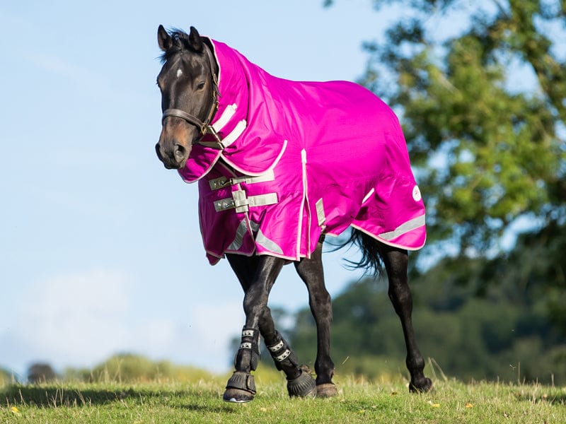 450g Ultimate Fixed Neck Turnout Rug - Mulberry