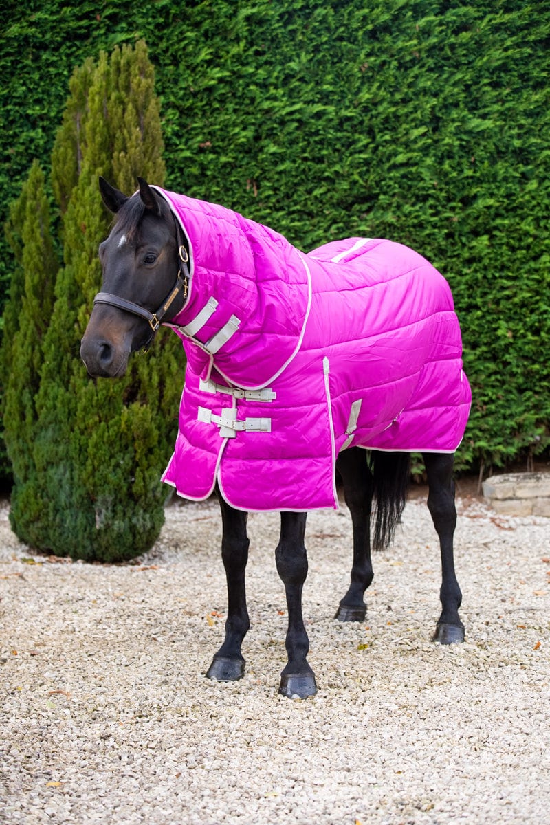 450g Stable Rug With Detachable Neck - Mulberry
