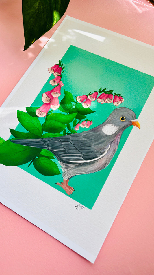 Wood Pigeon Art Print- British Wildlife Illustration