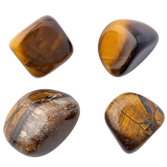 Gold Tiger Eye Polished Collectible Semi-Precious Gemstone