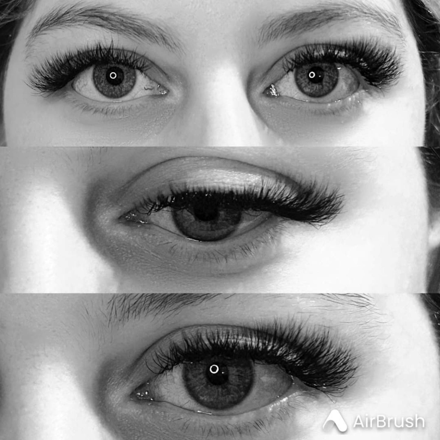4D Clover Lashes – 16 Row Single Length Trays