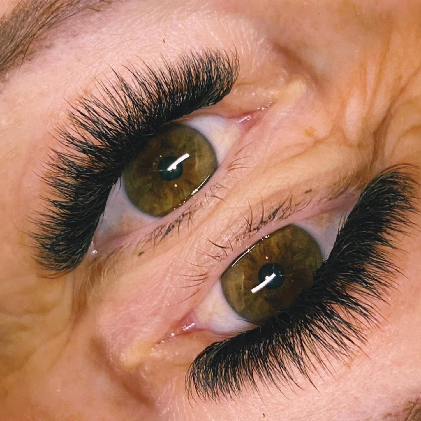 4D Clover Lashes – 16 Row Single Length Trays