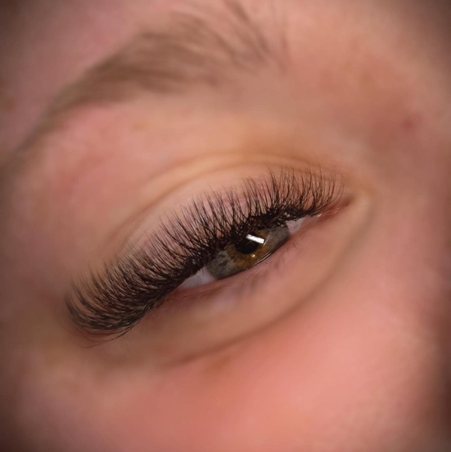 4D Clover Lashes – 16 Row Single Length Trays