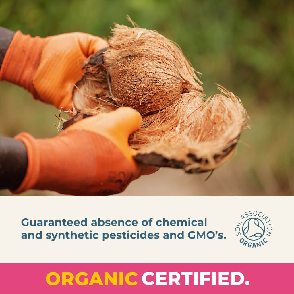 Organic Toasted Coconut Chips