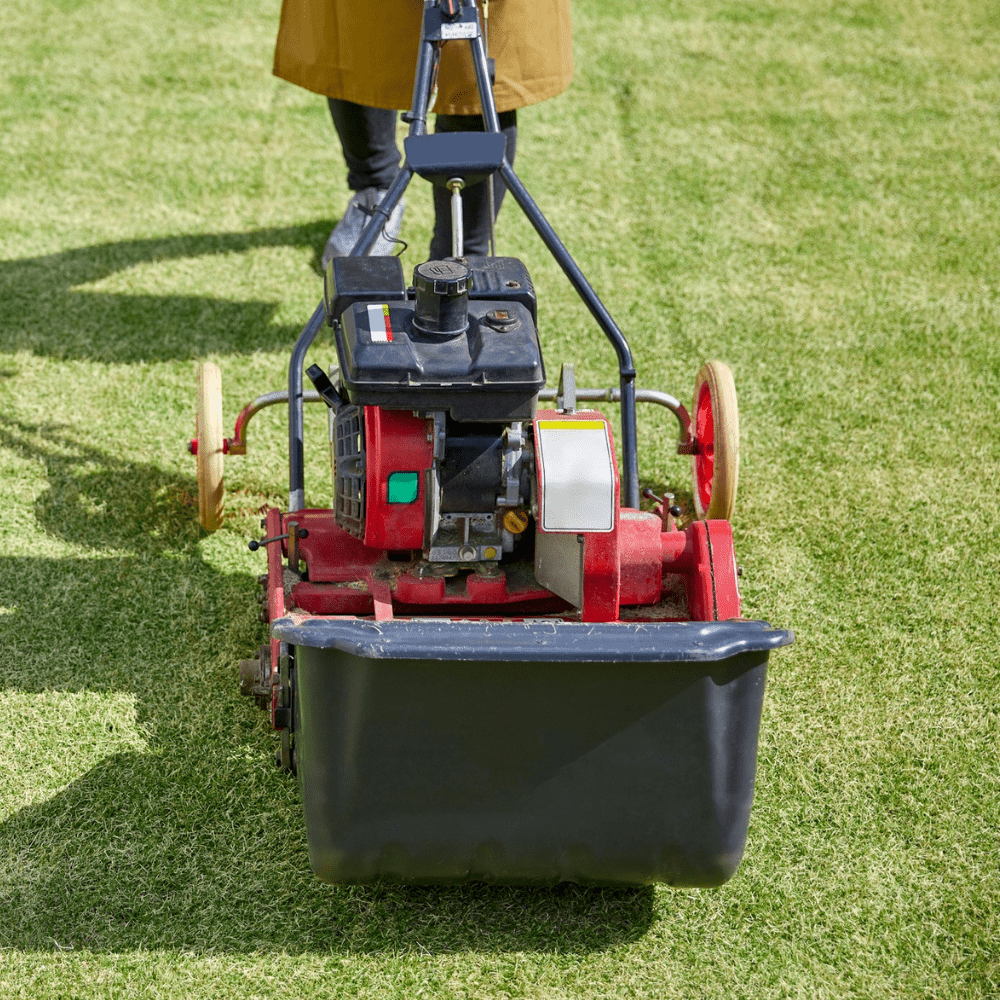 Sports Sand Dressing