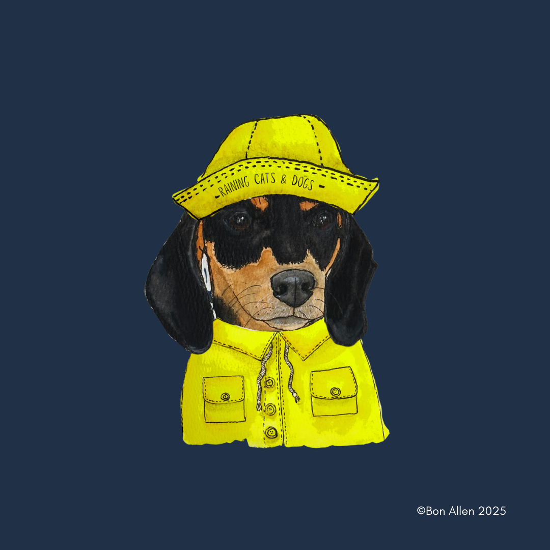 Dachshund Downpour Defender – Stay Dry in Style
