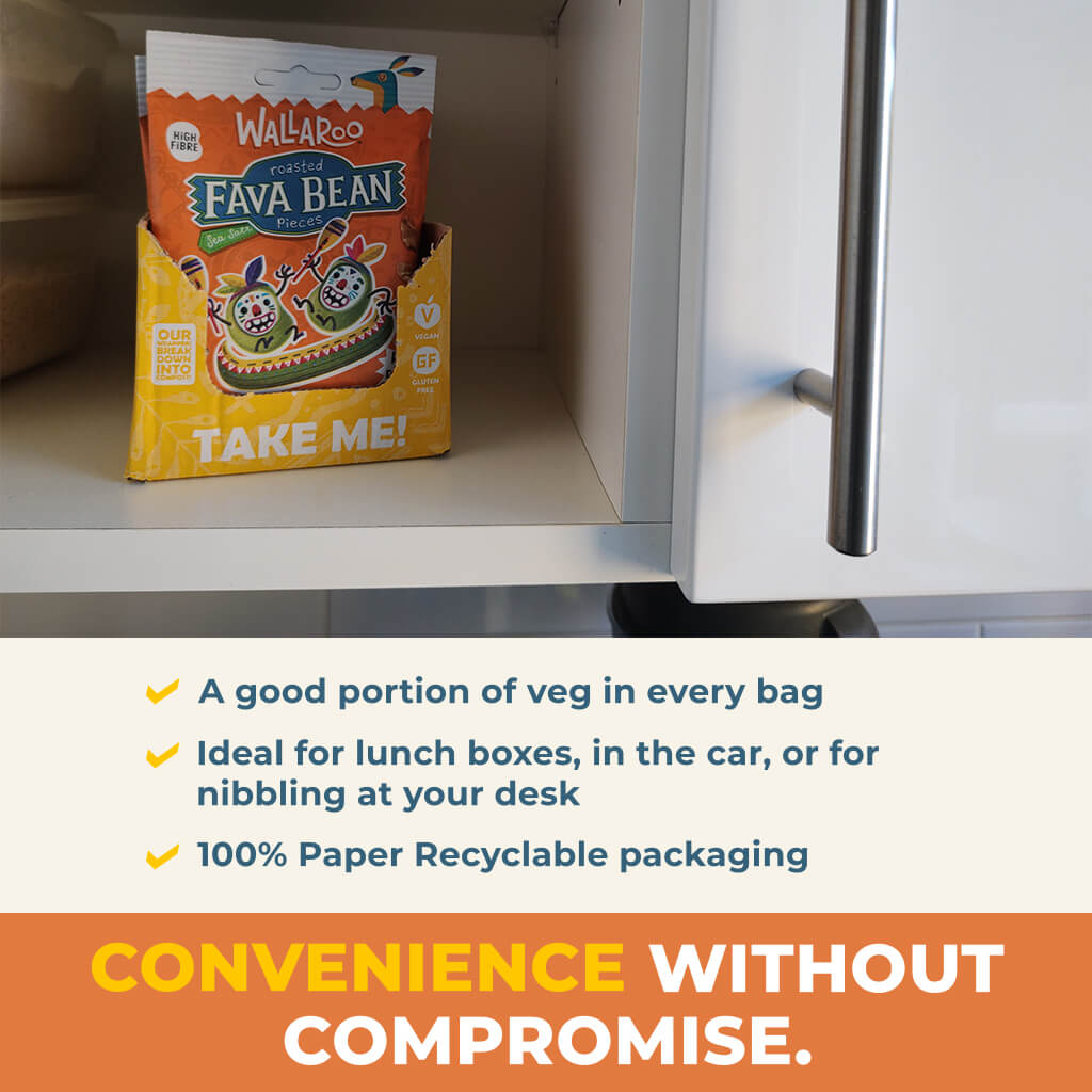 Roasted Fava Bean Pieces - Sea Salt