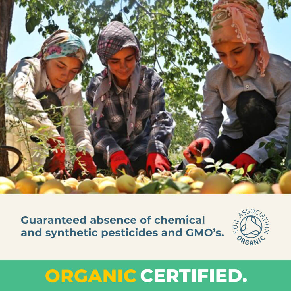 Organic Gently Dried Whole Apricots