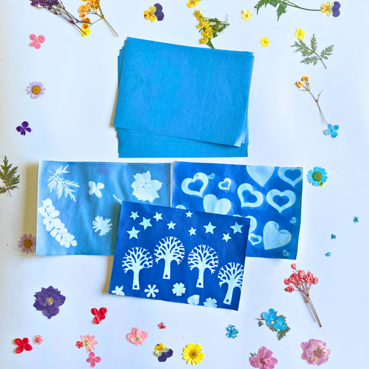 Curious Minds Sun Print Paper Kit, 10 Sheet Pack of Cyanotype Paper, 18x13 cm Sheets