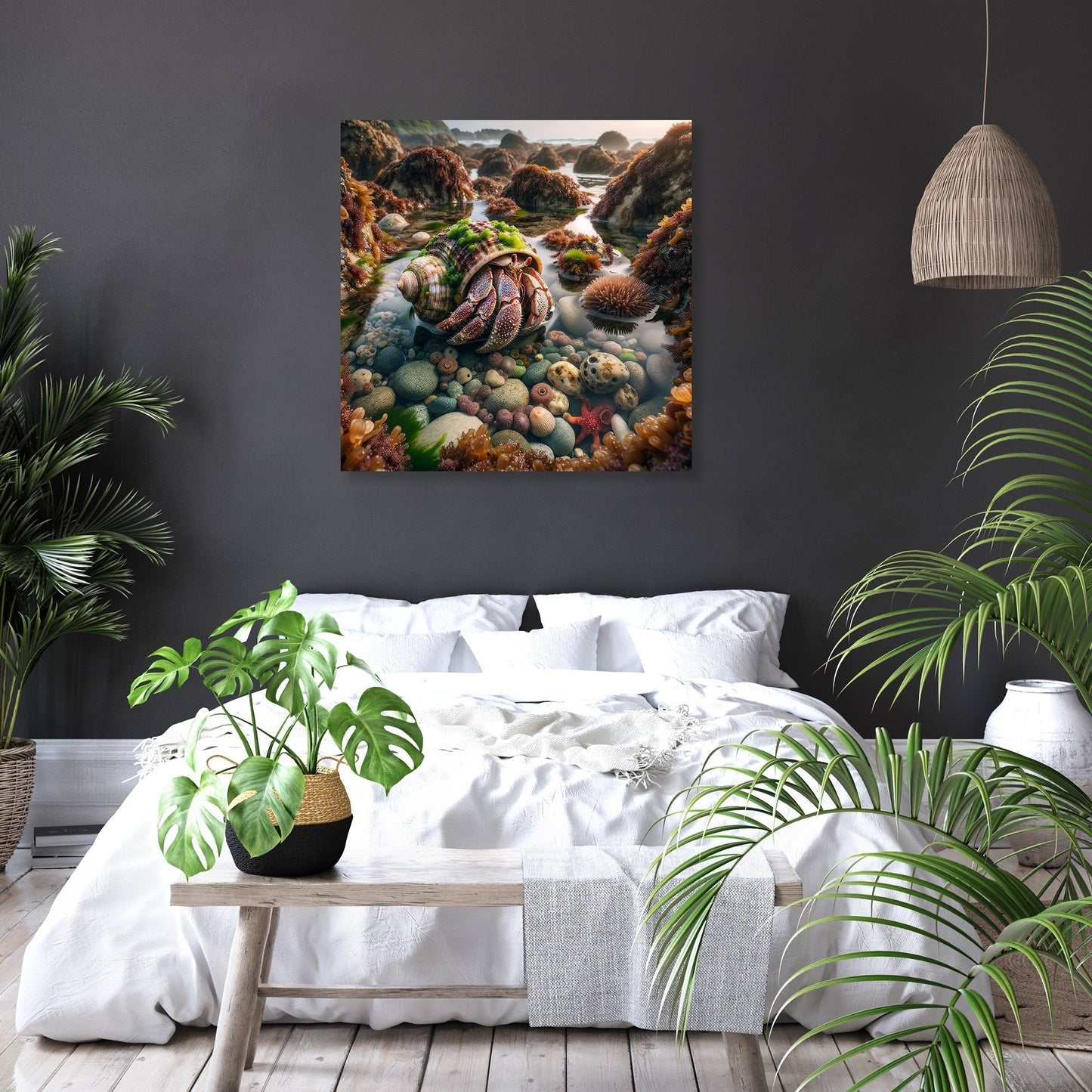 Tide Pool Hermit Crab Canvas
