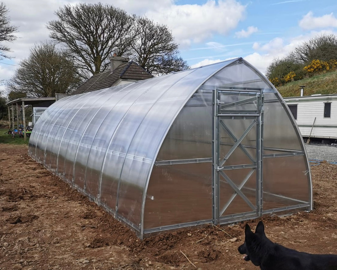 GREENHOUSE SUNGROW, 36M² (3M X 12M; 9.8FT X 39.4FT)