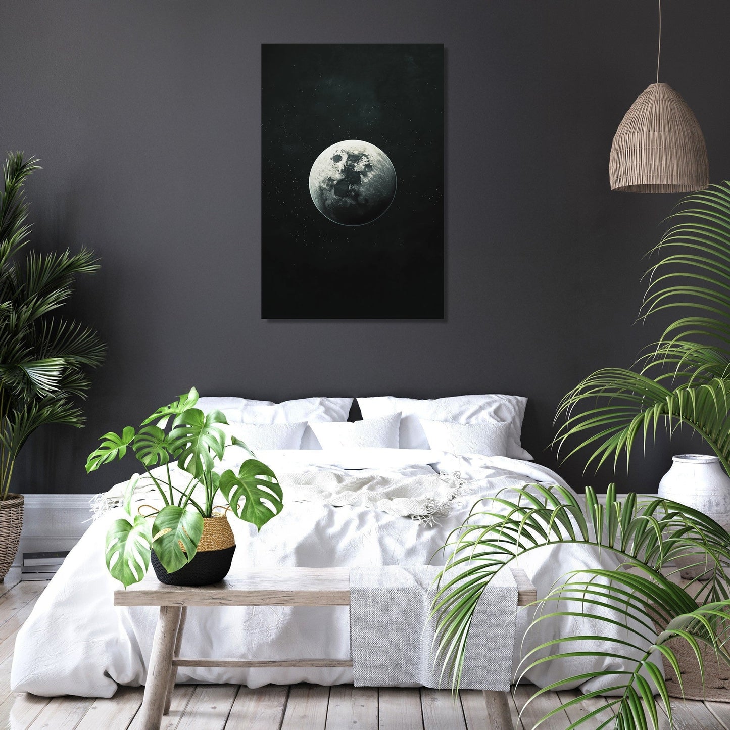 Solitary Planet Canvas