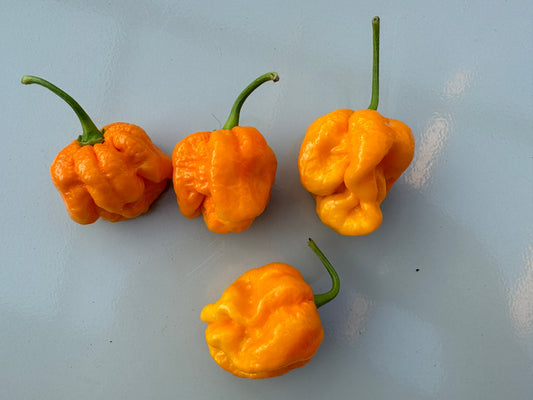 Bahamian Goat Chilli