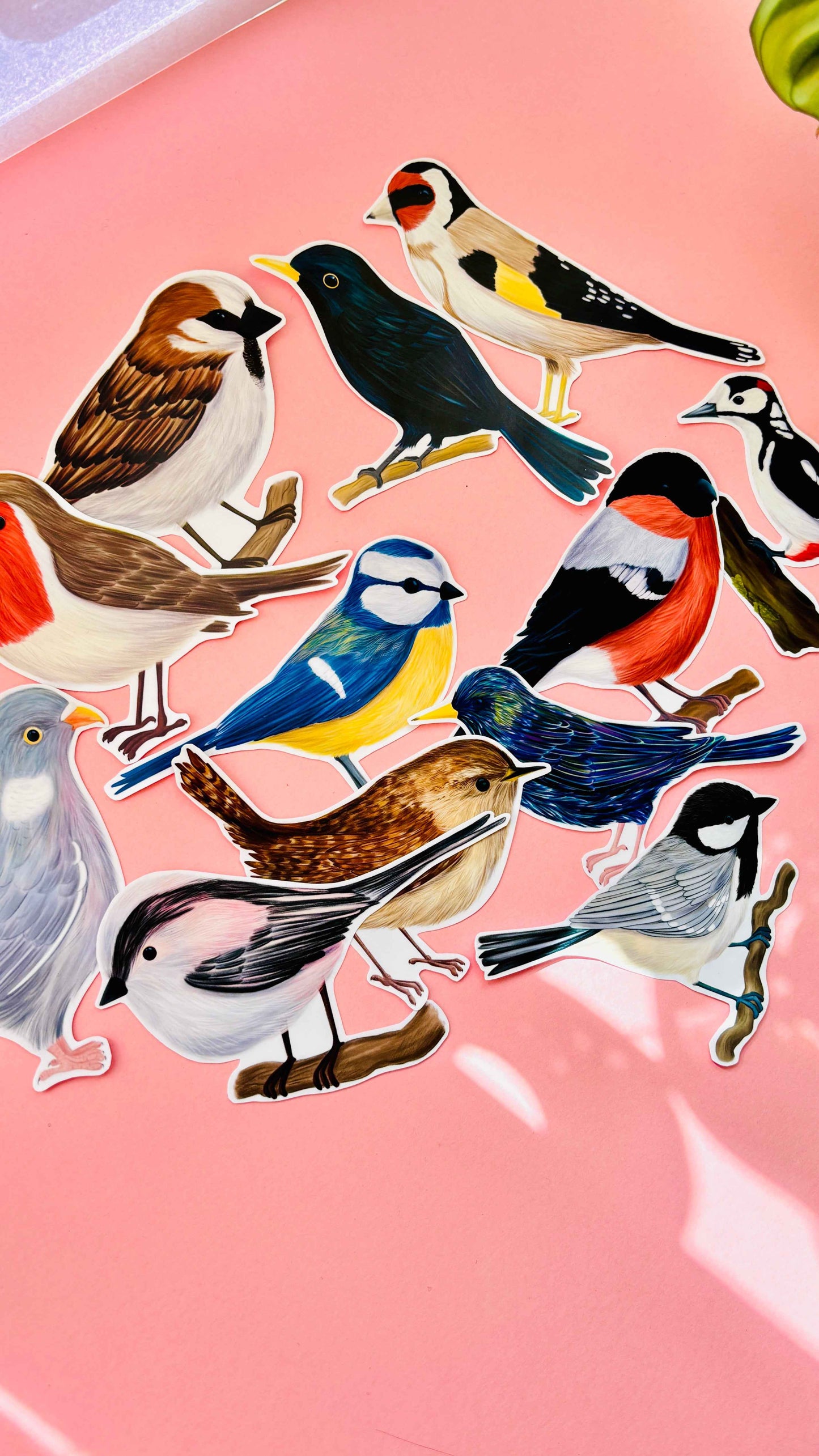Garden Birds 10cm Vinyl Stickers: Nature Inspired Waterproof Decals