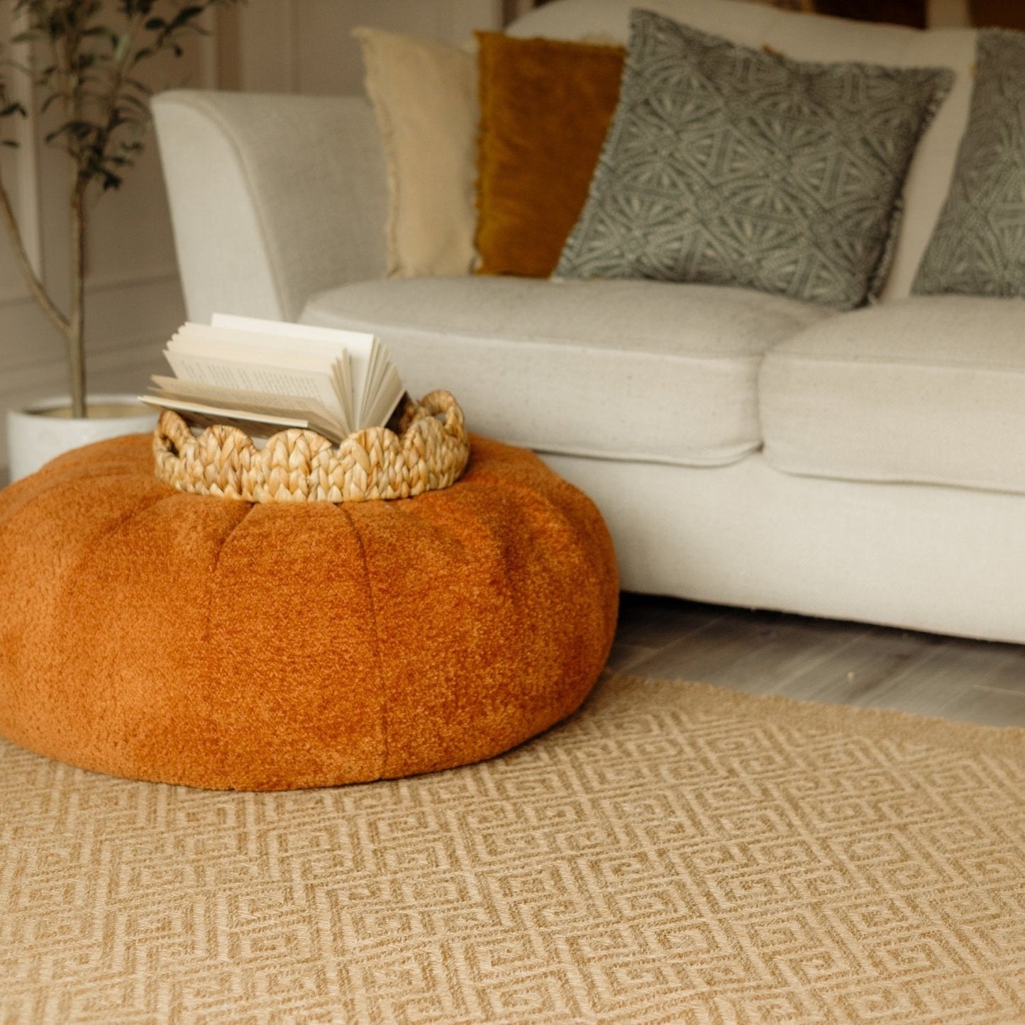 Nature Outdoor Rug Neutral | 5100N