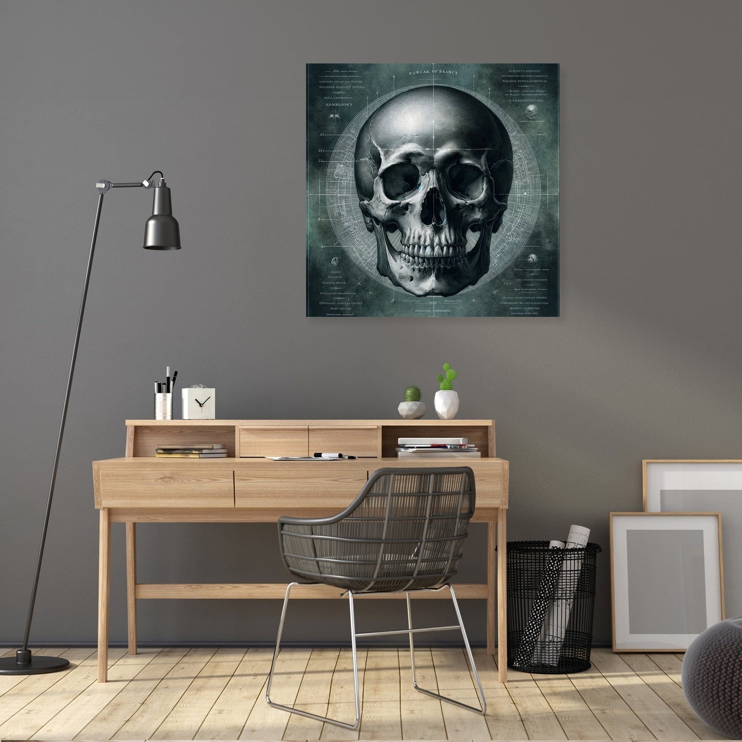 Scientific Illustration Skull Canvas