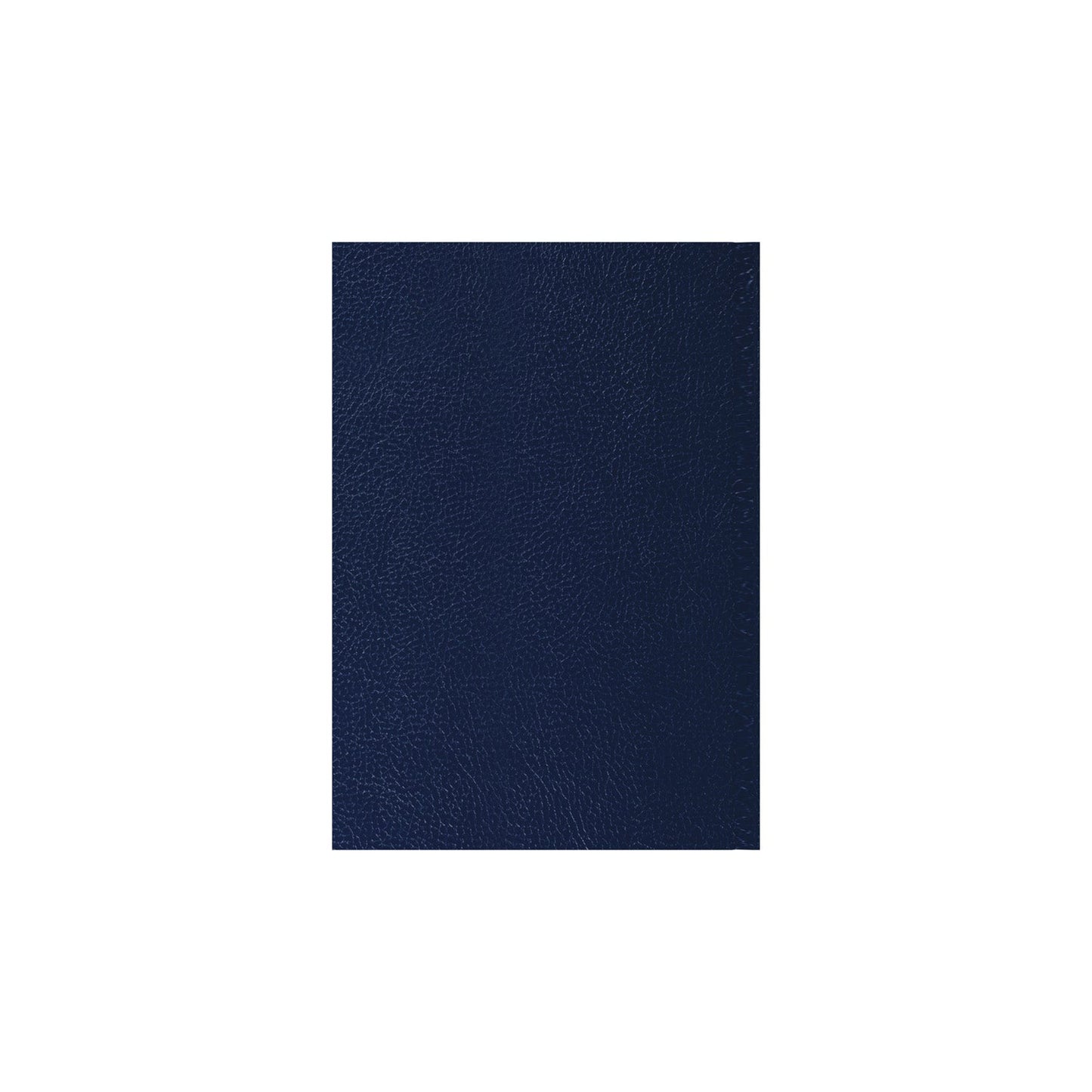 2026-2027 - Mid Year Planner - 13 Month A5 Day-to-Page Diary with Appointments - Collins Debden Desk Diary