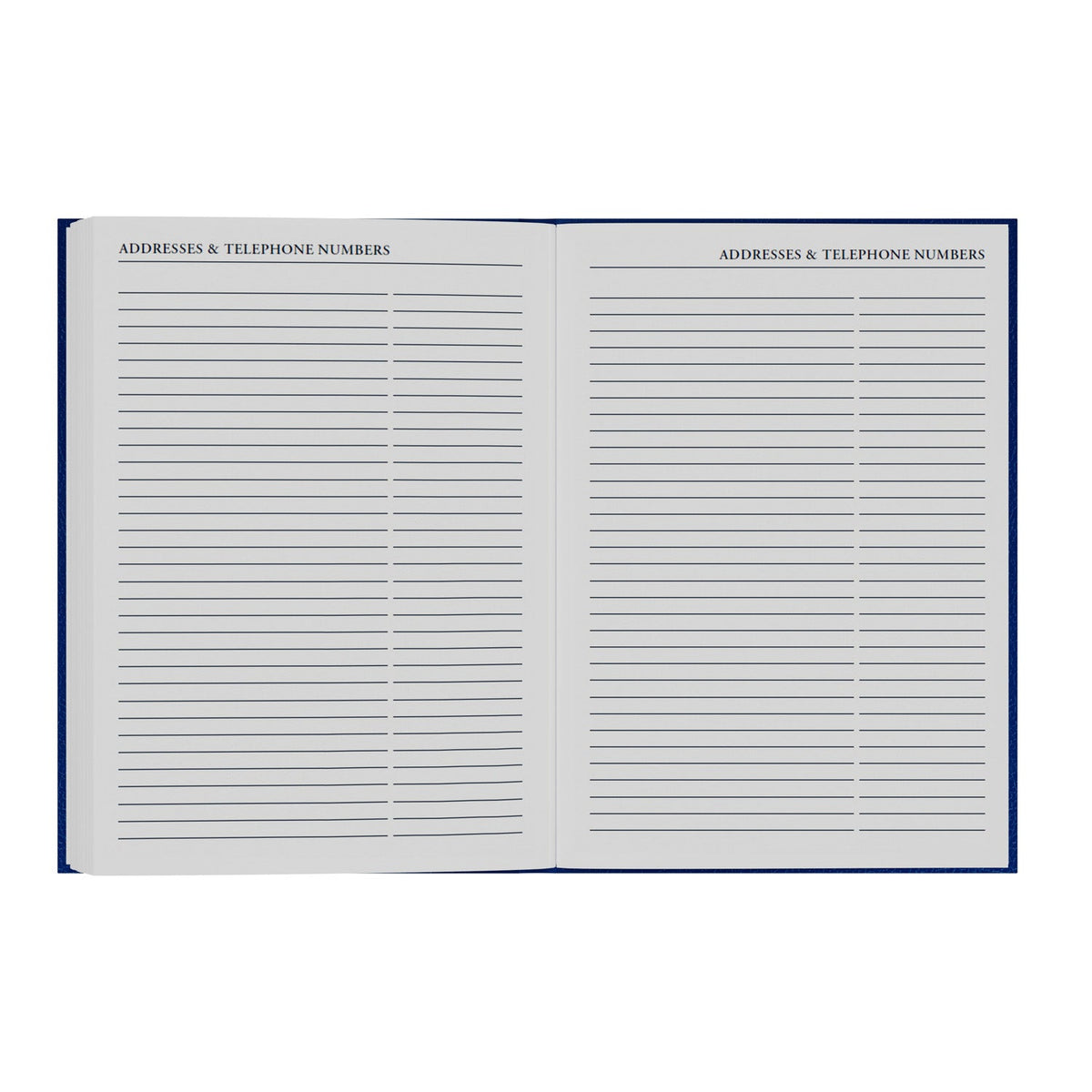 2026-2027 - Mid Year Planner - 13 Month A5 Day-to-Page Diary with Appointments - Collins Debden Desk Diary