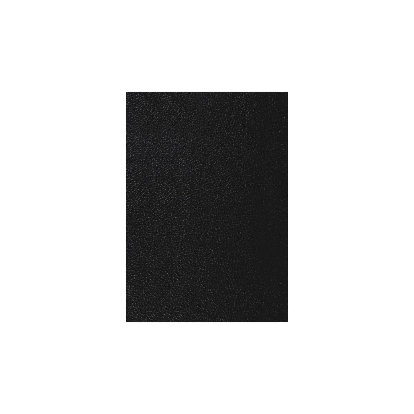 2026-2027 - Mid Year Planner - 13 Month A5 Day-to-Page Diary with Appointments - Collins Debden Desk Diary