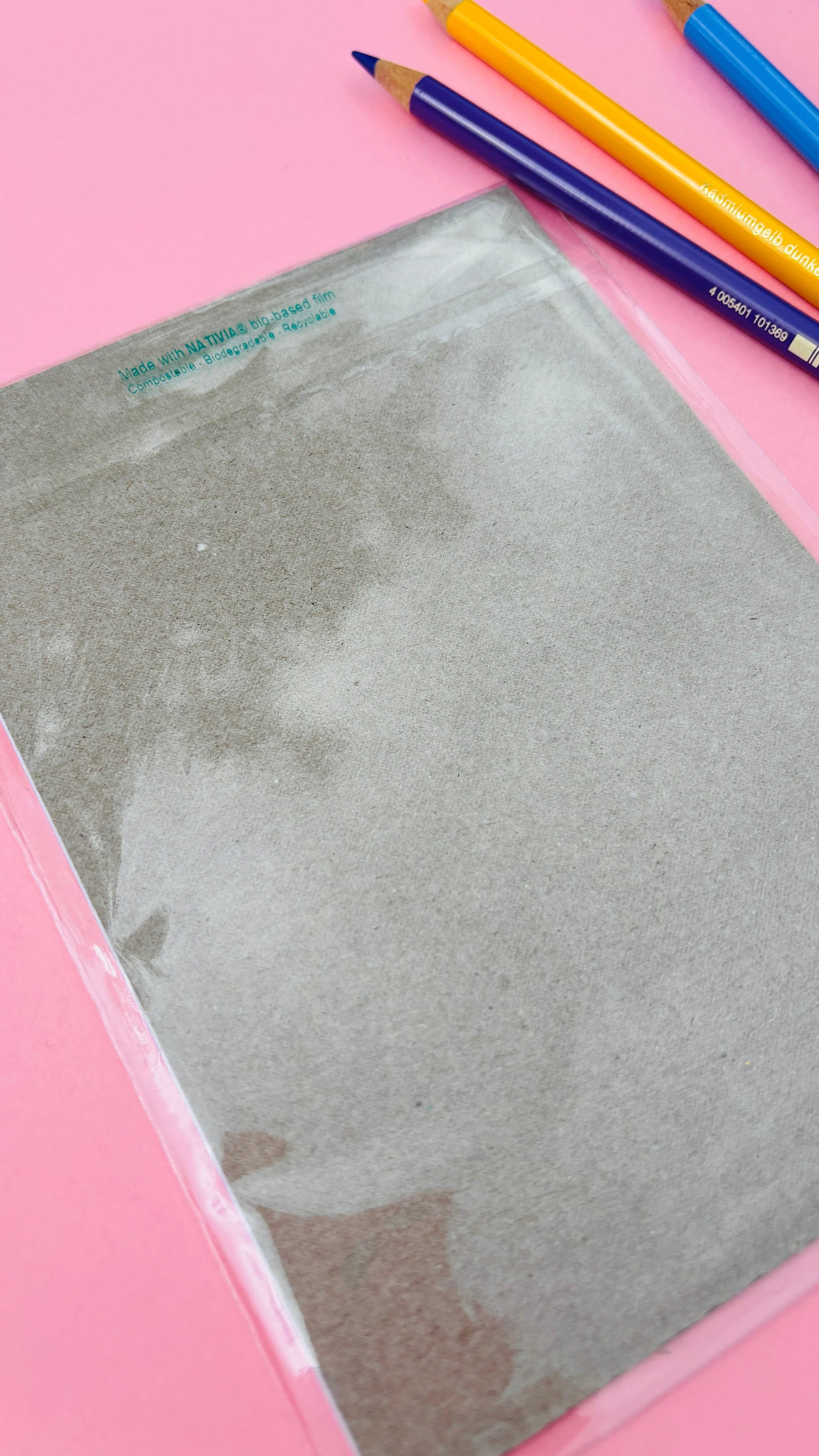 Funny Plant Wall Art- Introvert Gifts: Multiple sizes Available