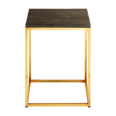 Black Petrified Wood Top Square Side Table with Gold Warm Brass Iron Base | Relic