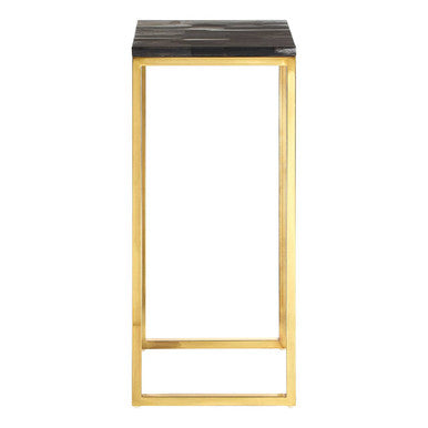 Black Petrified Wood Top Square Pedestal Side Table with Gold Warm Brass Iron Base | Relic