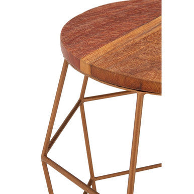 Natural Recycled Wood Top Rounded Side Table with Brass Iron Wireframe Base | Nandri